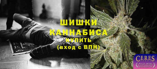 крисы Арсеньев