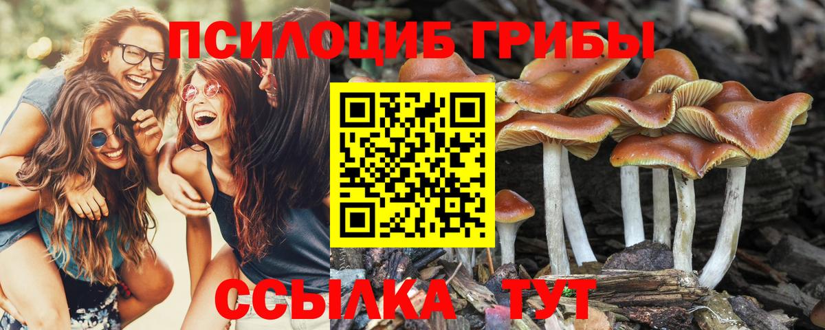 Балтийск  Галлюциногенные грибы мицелий  Вход с VPN  Галлюциногенные грибы мицелий 