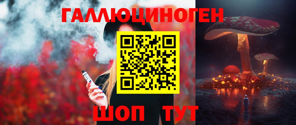 Псилоцибиновые грибы Cubensis Балтийск